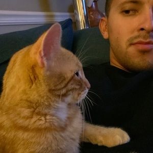 Meet your Posher, James